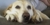 Img_0473_thumbnail