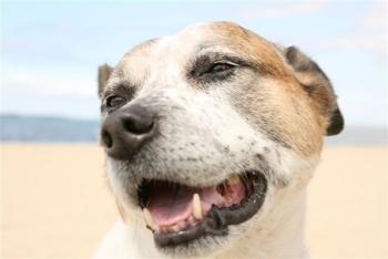 Dana_andscully_at_the_beach_028_medium
