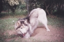 17500016_small