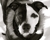Dscf3197_thumbnail