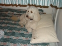 Dsc00131_small