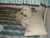Dsc00131_thumbnail