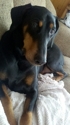 2011-04-03_10-33-36_90_small