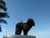 Sany0214_thumbnail