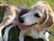 Hobbs_oct_8_2012_thumbnail