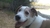 Ernie_rim_lake_thumbnail