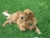 Woody_-_spring_2006_thumbnail