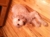 Image_thumbnail