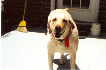 Scan0269_medium