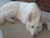 Img00304_thumbnail