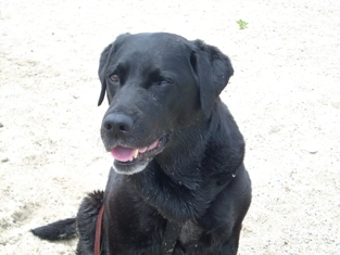 2009_0614beach0025_medium