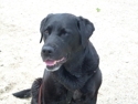 2009_0614beach0025_small