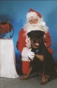 December_15__20011_small
