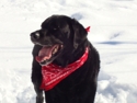 Winter_wonderland_2010_003_small