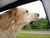 Dsc01399_thumbnail