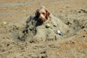 Sand_dune_small