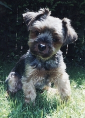Jasper-head_tilt_medium