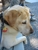 Sunriver8-30-02_014_thumbnail