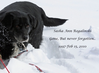 Gone_but_never_forgotten