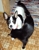 Tuxhugsrupert_thumbnail