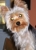 000_0073_thumbnail