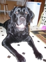 Coal_small