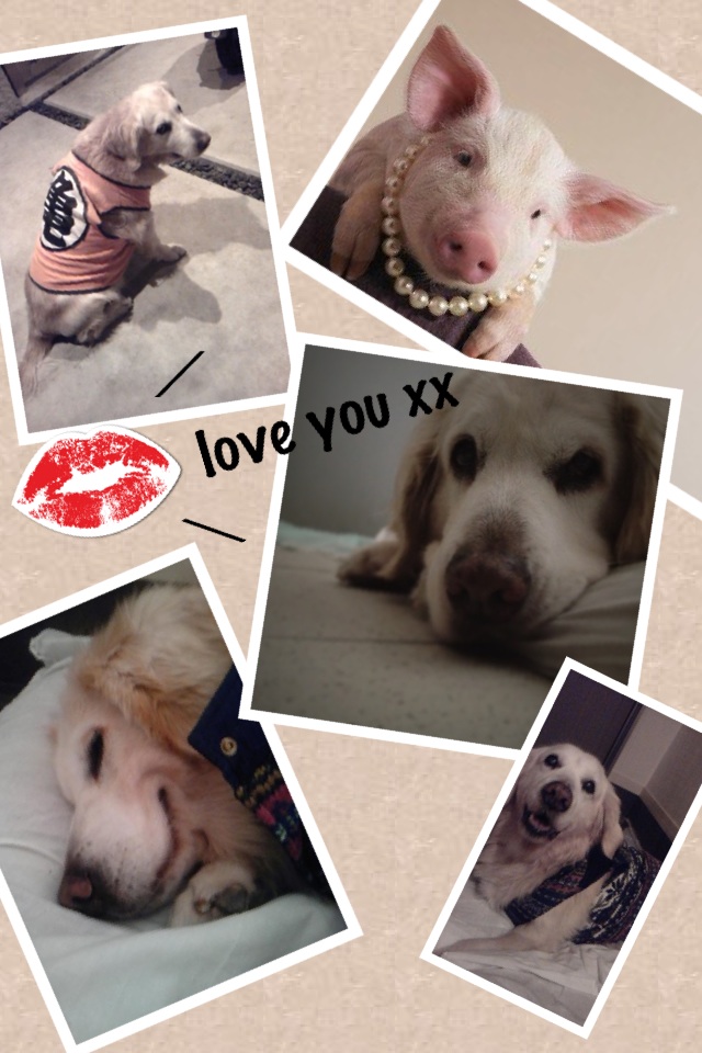 Collage