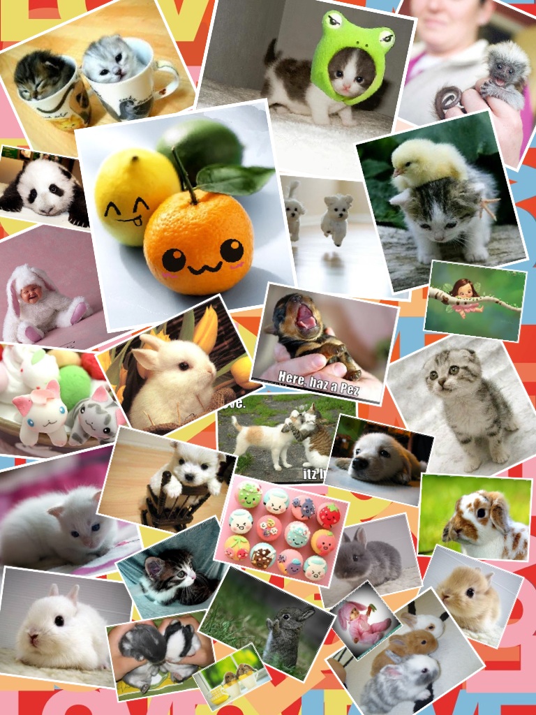 Collage
