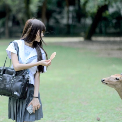 Schoolgirl versus sacred deer