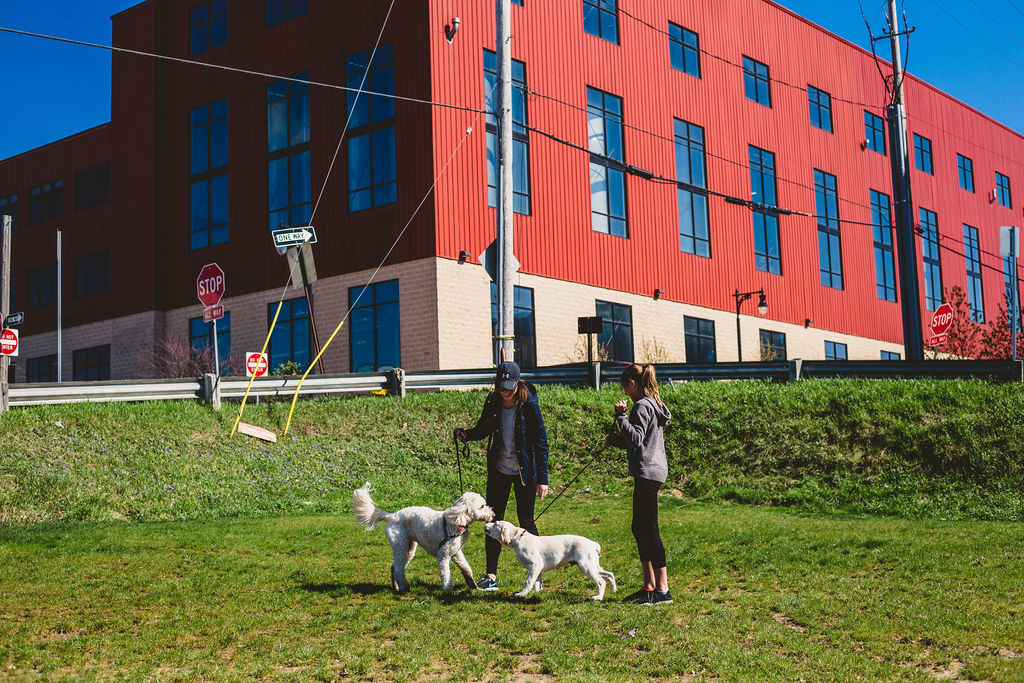 Dog Park Demonstration Downtown Grand Rapids Inc.