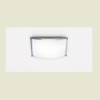 Vision Wall or Ceiling Light
