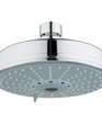 Rainshower Rustic Shower Head, 27 130