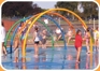 Water Wickets™ Water Wickets™