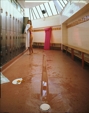 Safeguard Hydro, Specialty Flooring