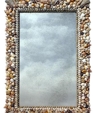neptune mirror