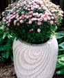 Swirl Planter Swirl Planter