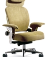 Leap® WorkLounge & Ottoman