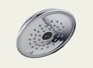 Classic Rain Can Shower Head Classic Rain Can Shower Head