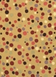 POLKA CRAZY POLKA CRAZY