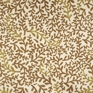 Pattern Pattern