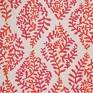 Ivy Paisley Ivy Paisley