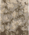 Douglas 7302