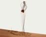 Nephila