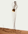 Nephila Nephila