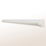 Ether Wash ADA Wall and Ceiling Mount
