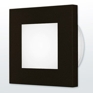 Southridge Outdoor Luminous Acrylic Wall Mount Southridge Outdoor Luminous Acrylic Wall Mount