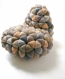 Anana Chair