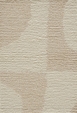 Textures Scoops - Shell