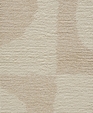 Textures Scoops - Shell Textures Scoops - Shell