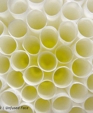 Material: Flexicomb - Ecolect